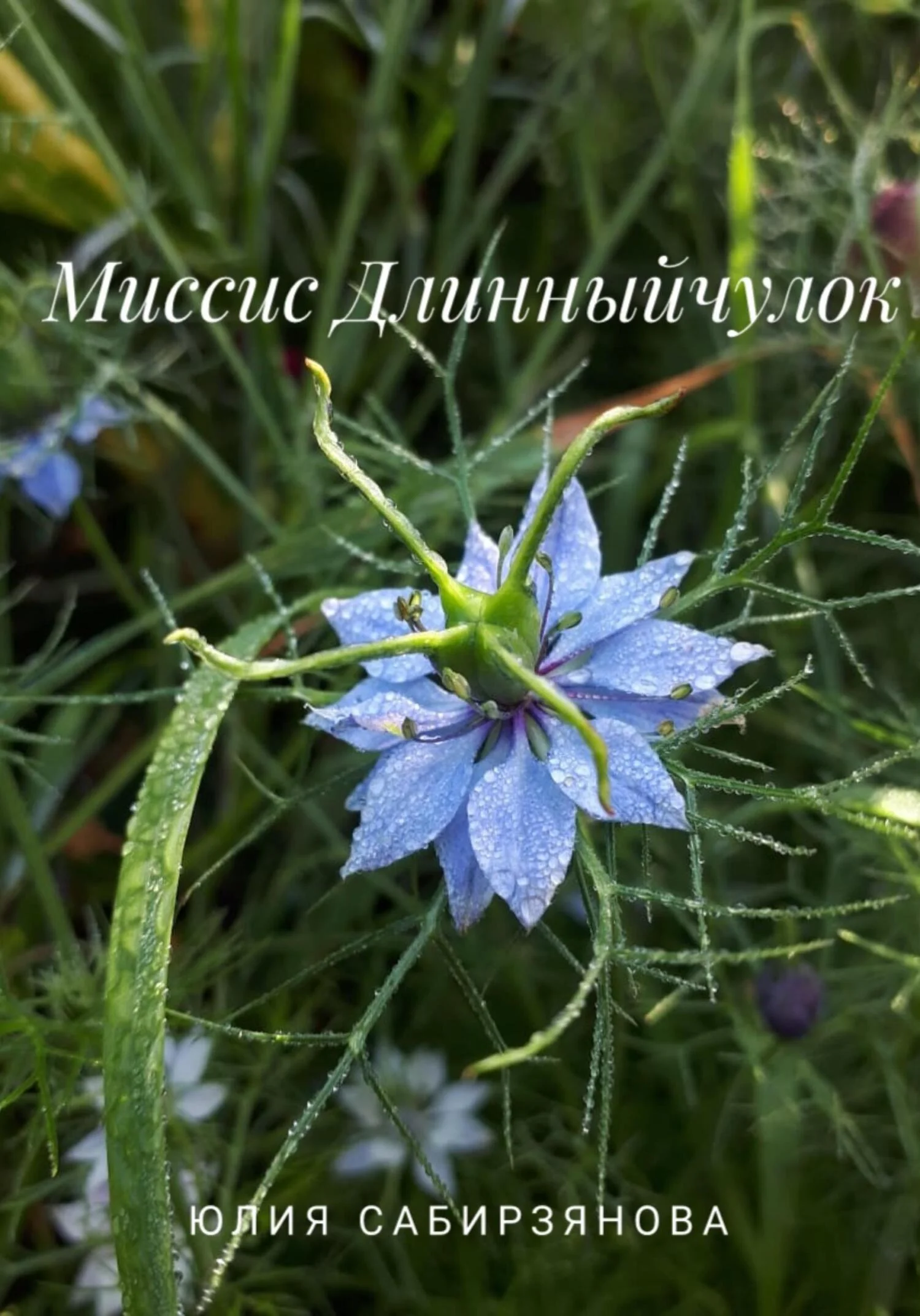 Обложка Миссис Длинныйчулок