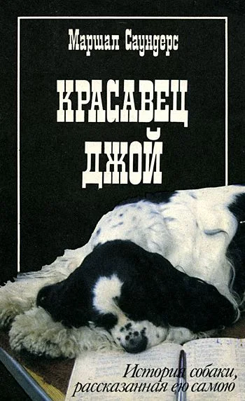 Обложка Красавец Джой