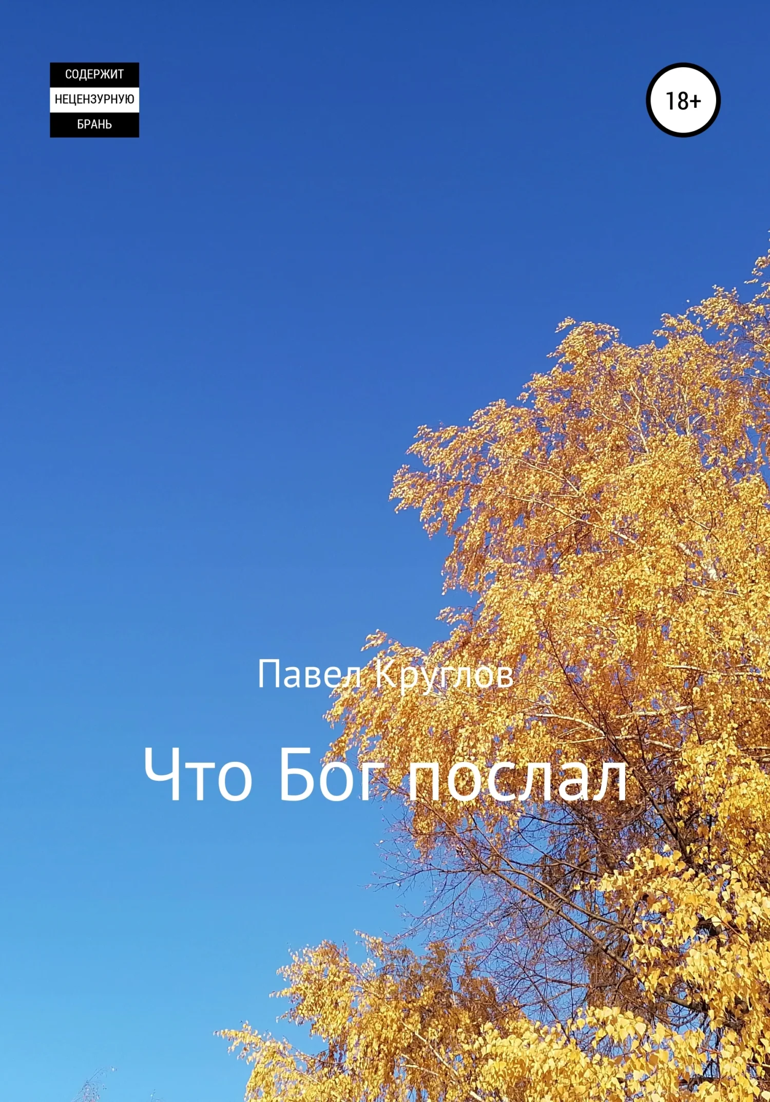 Обложка Что Бог послал