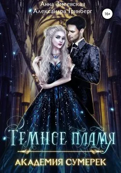 Обложка Академия сумерек. Темное пламя
