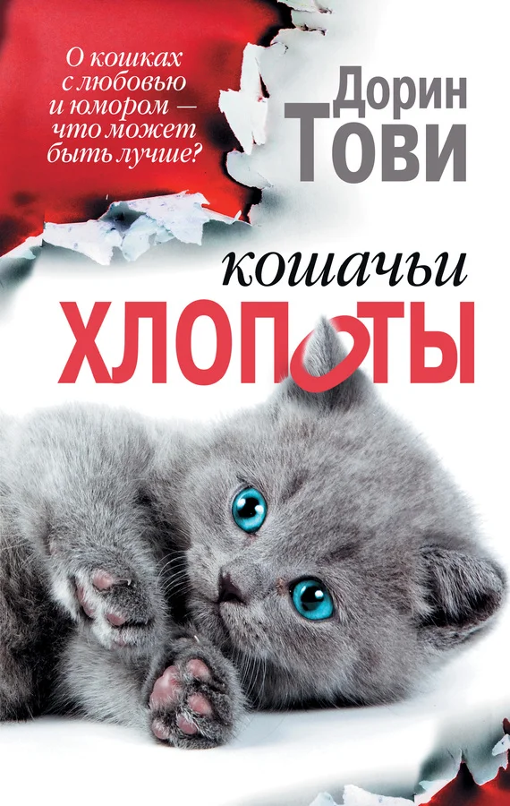 Обложка Кошачьи хлопоты