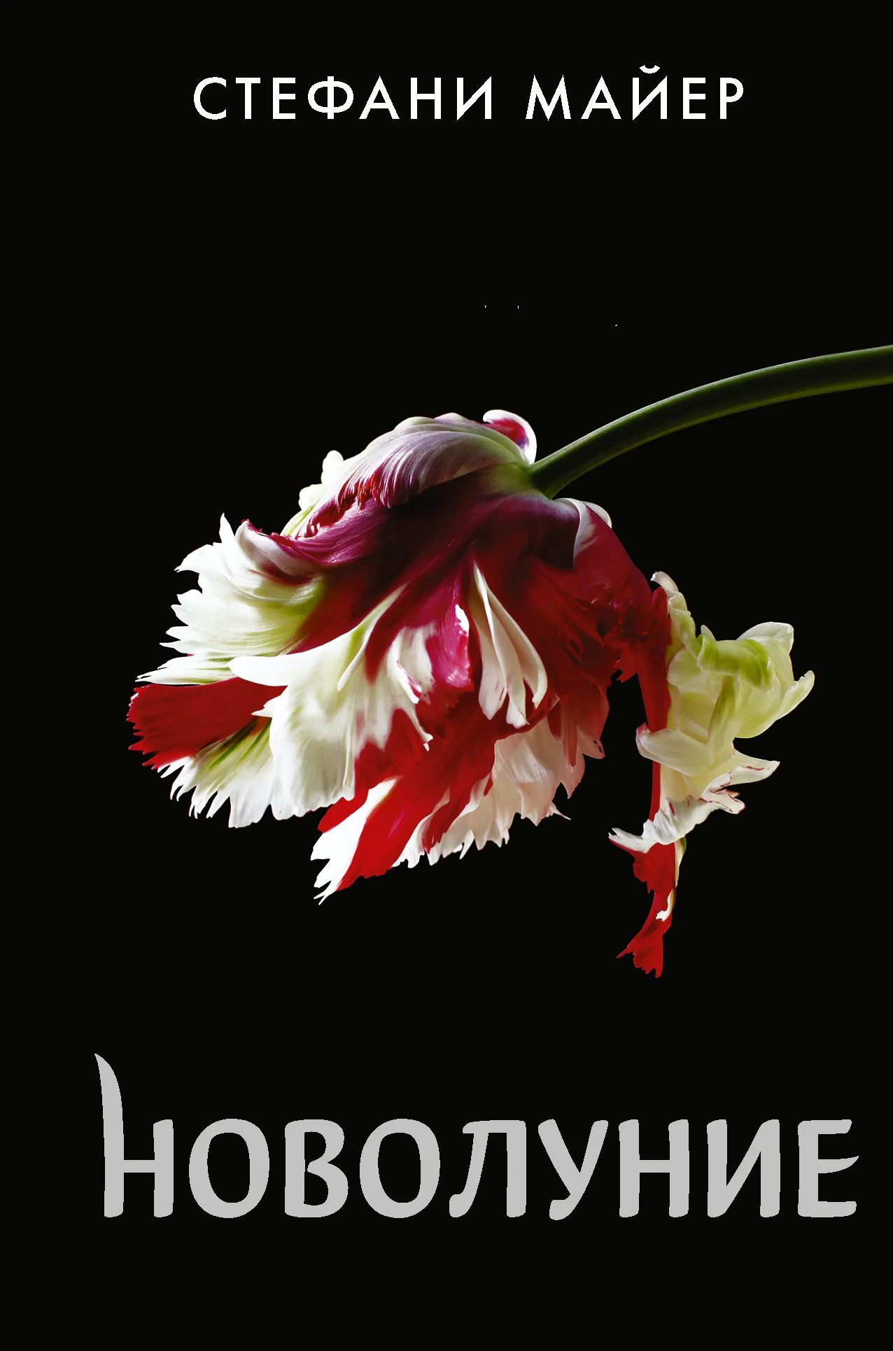 Обложка Новолуние