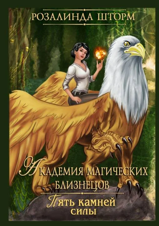 Обложка Пять камней силы