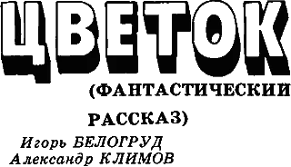 Обложка Цветок