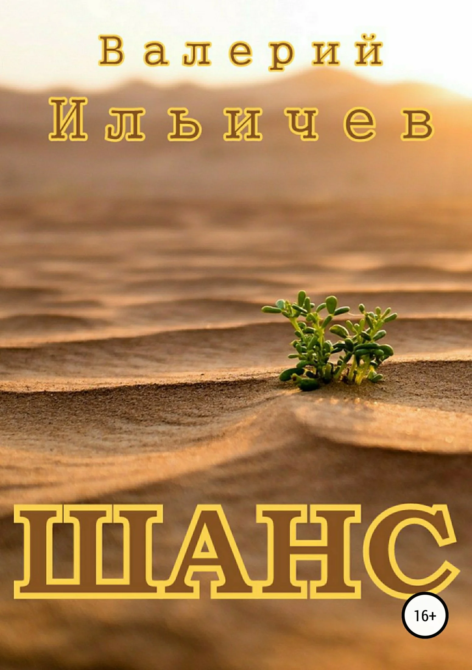 Обложка Шанс