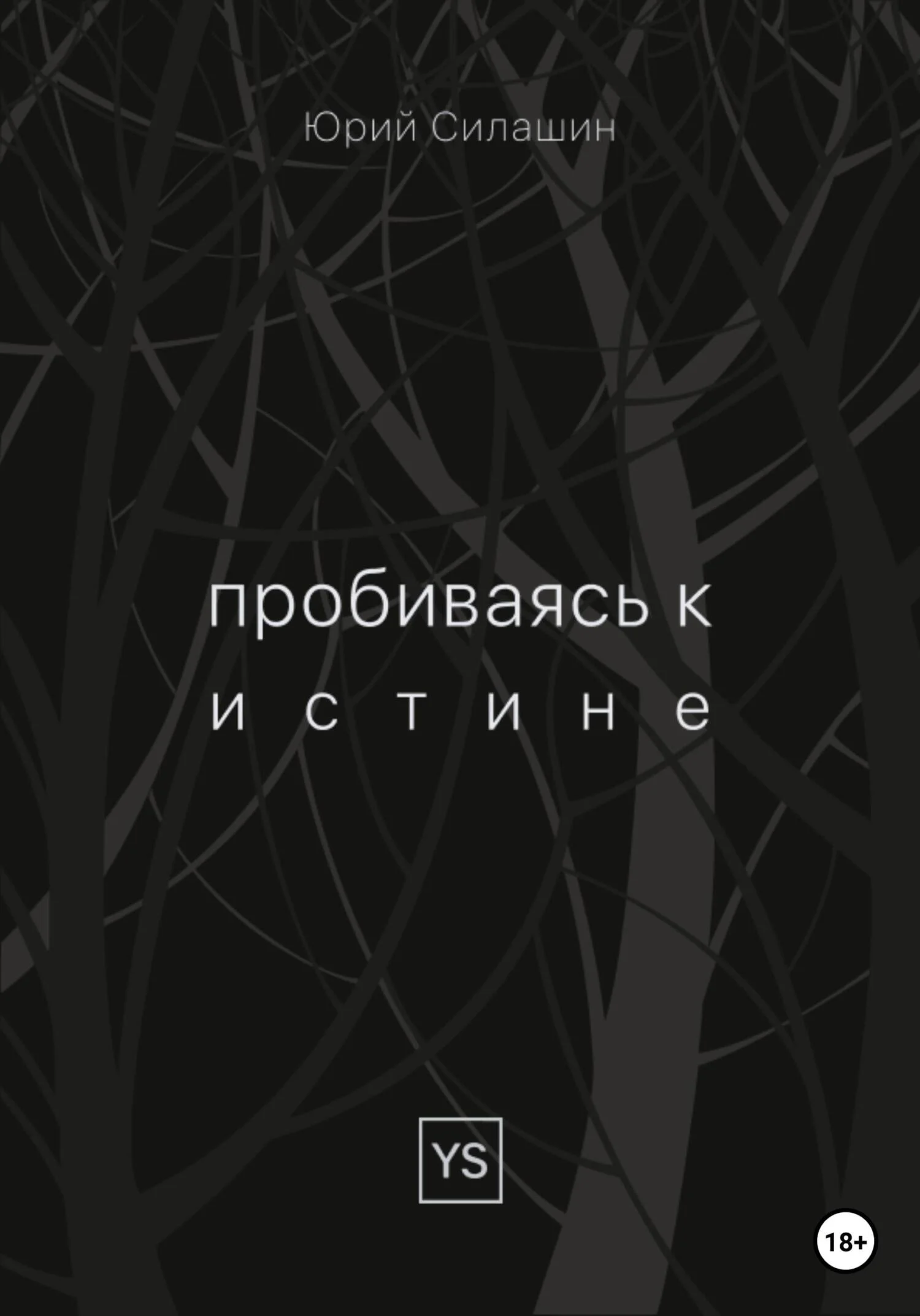 Обложка Пробиваясь к истине