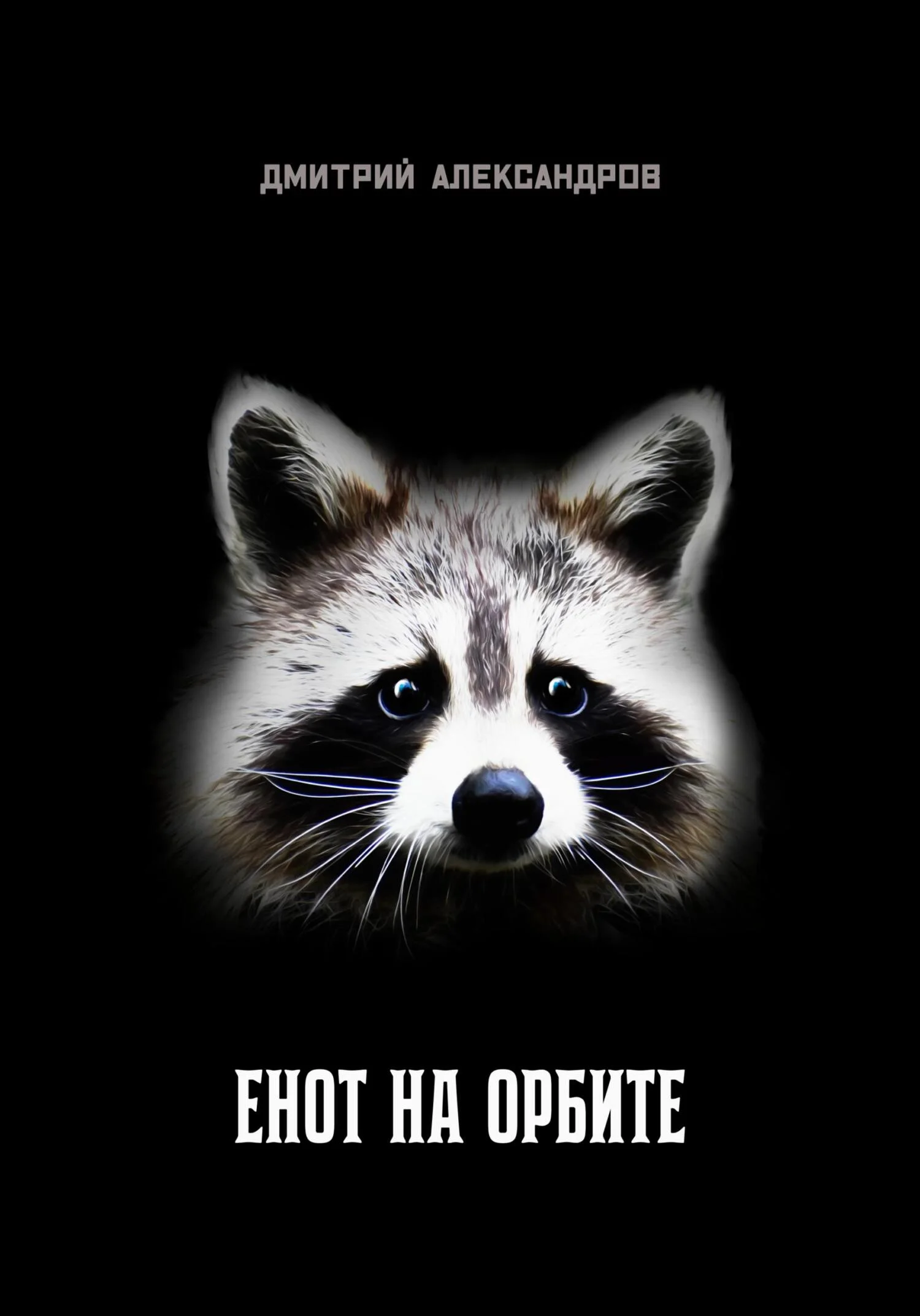 Обложка Енот на орбите