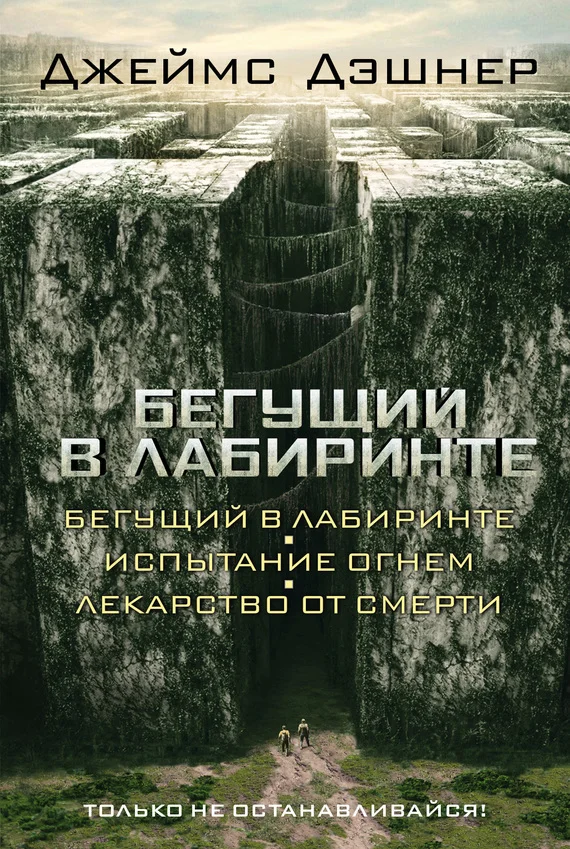 Обложка Бегущий в Лабиринте