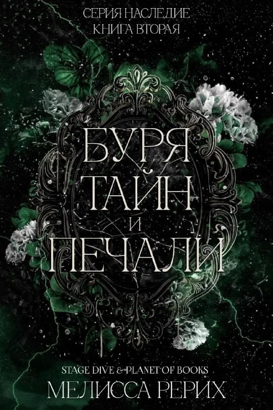 Обложка Буря тайн и печали