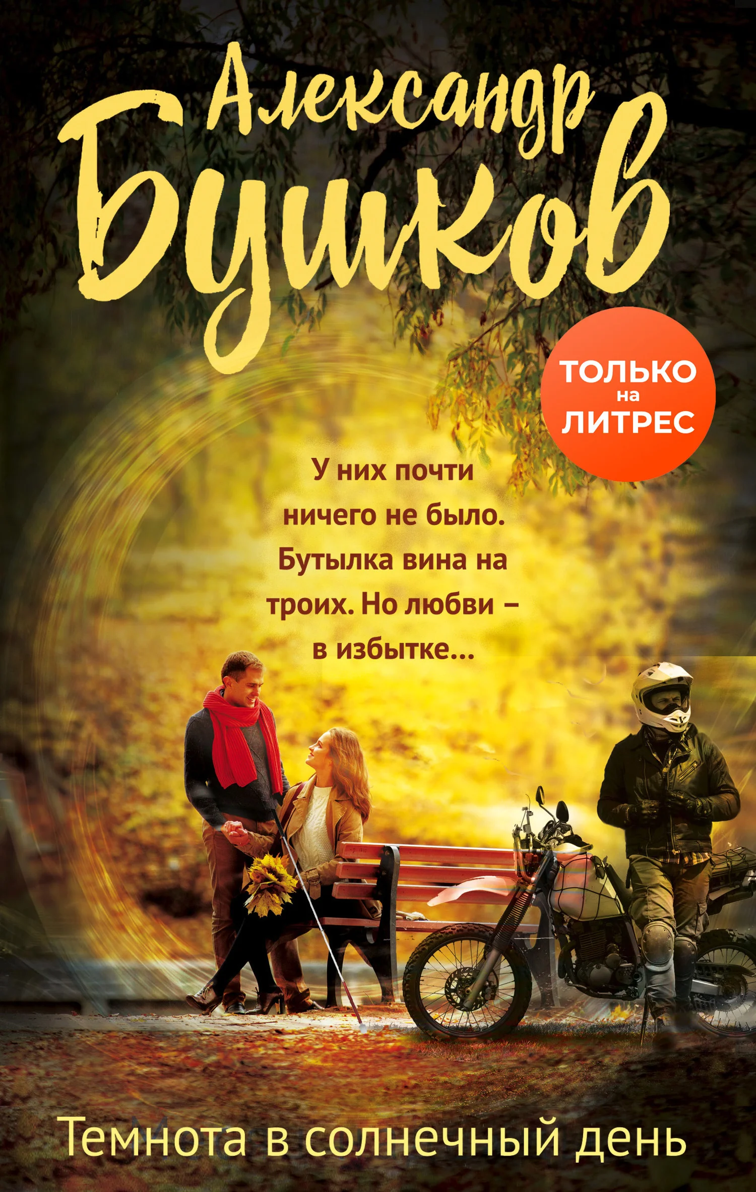Обложка Темнота в солнечный день