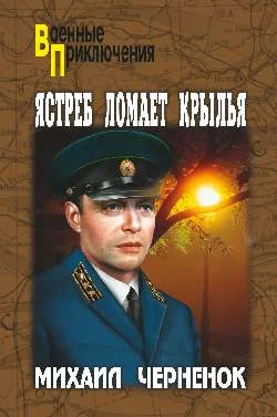 Обложка Ястреб ломает крылья