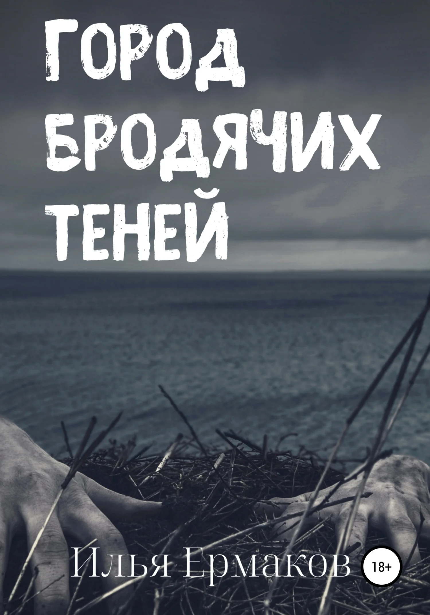 Обложка Город бродячих теней