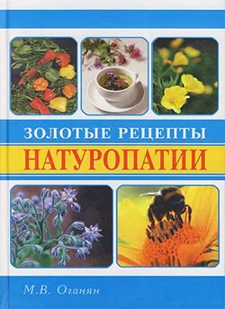 Обложка Золотые рецепты натуропатии