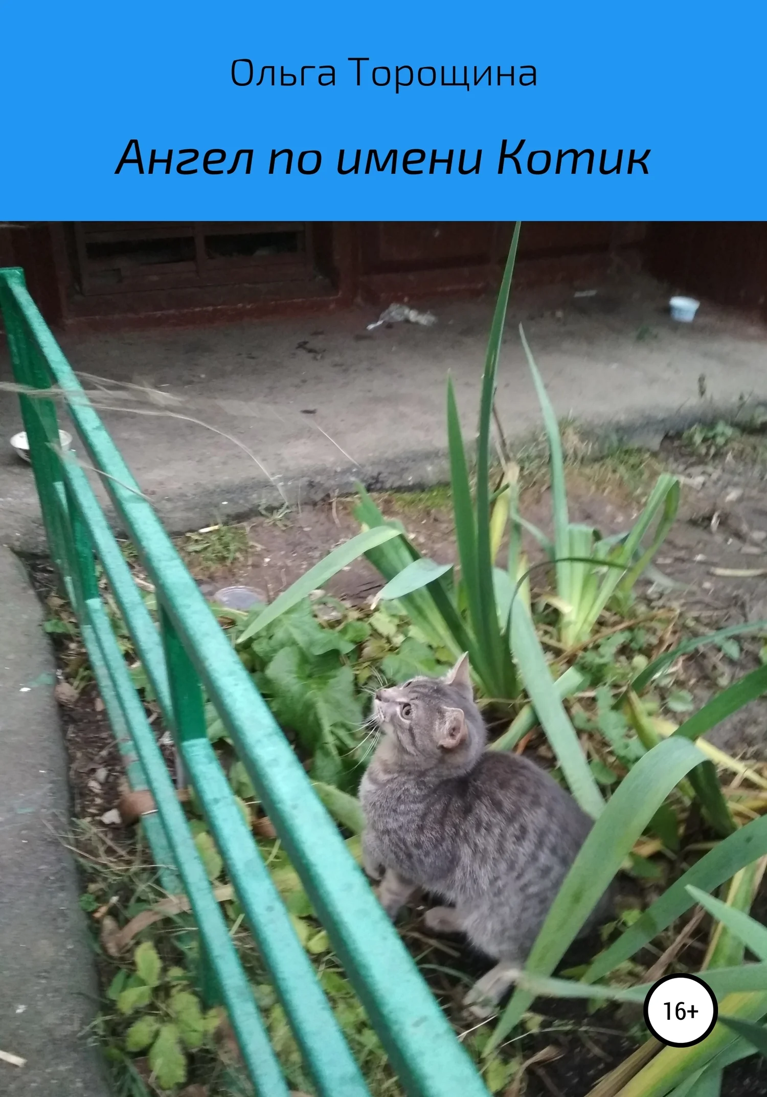 Обложка Ангел по имени Котик