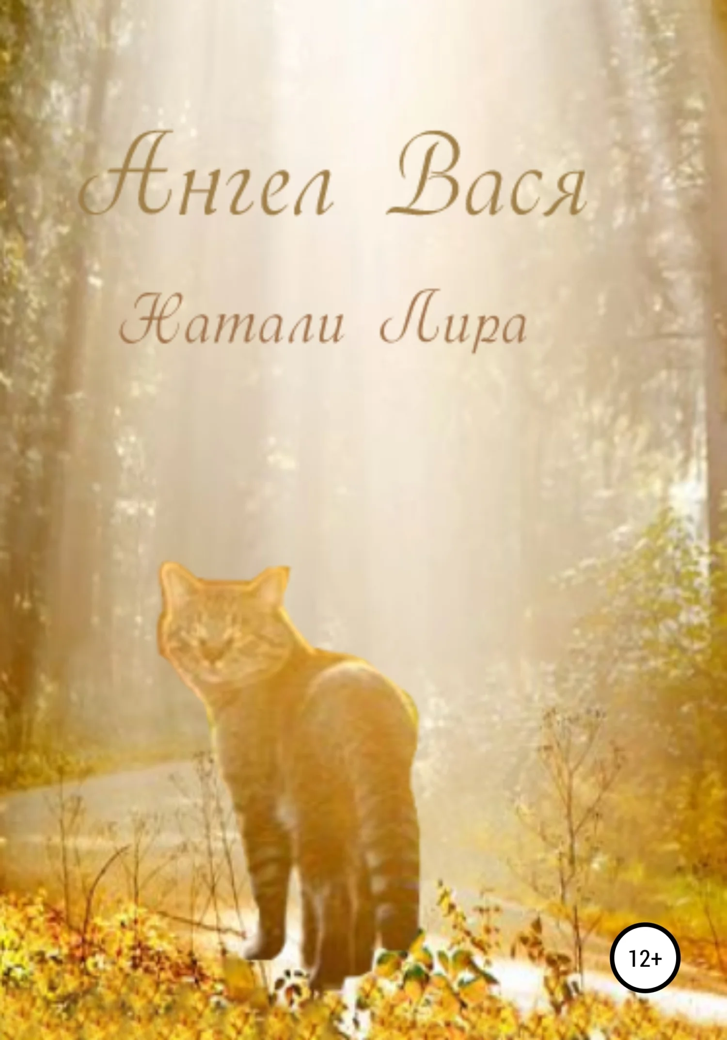 Обложка Ангел Вася