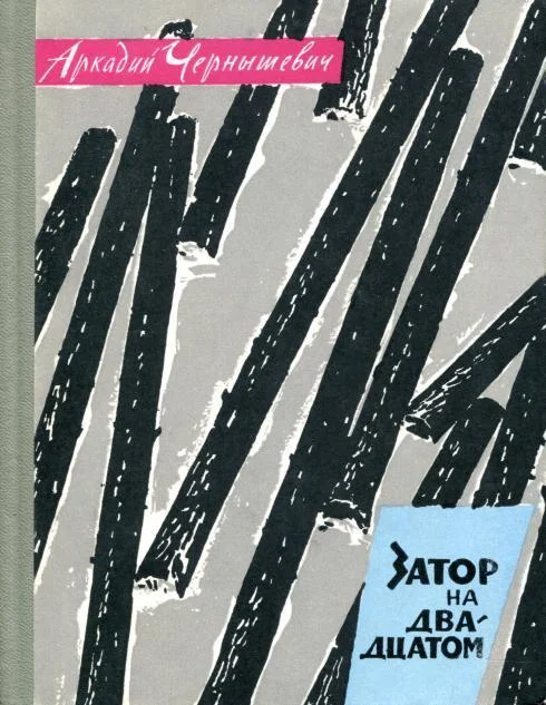 Обложка Затор на двадцатом