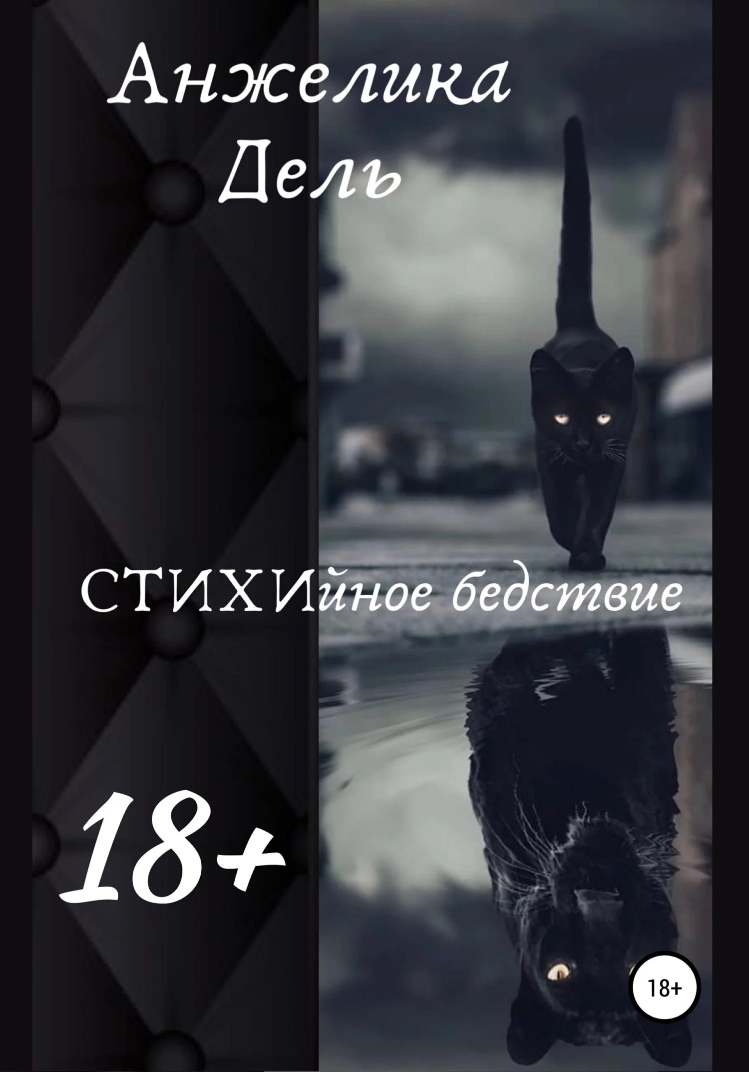 Обложка СТИХИйное бедствие