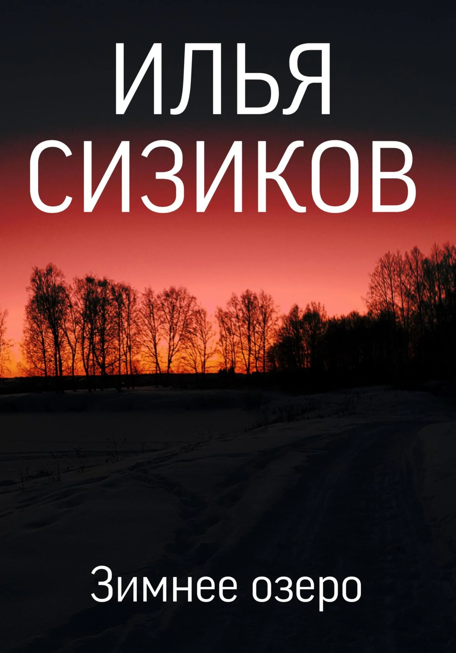 Обложка Зимнее озеро