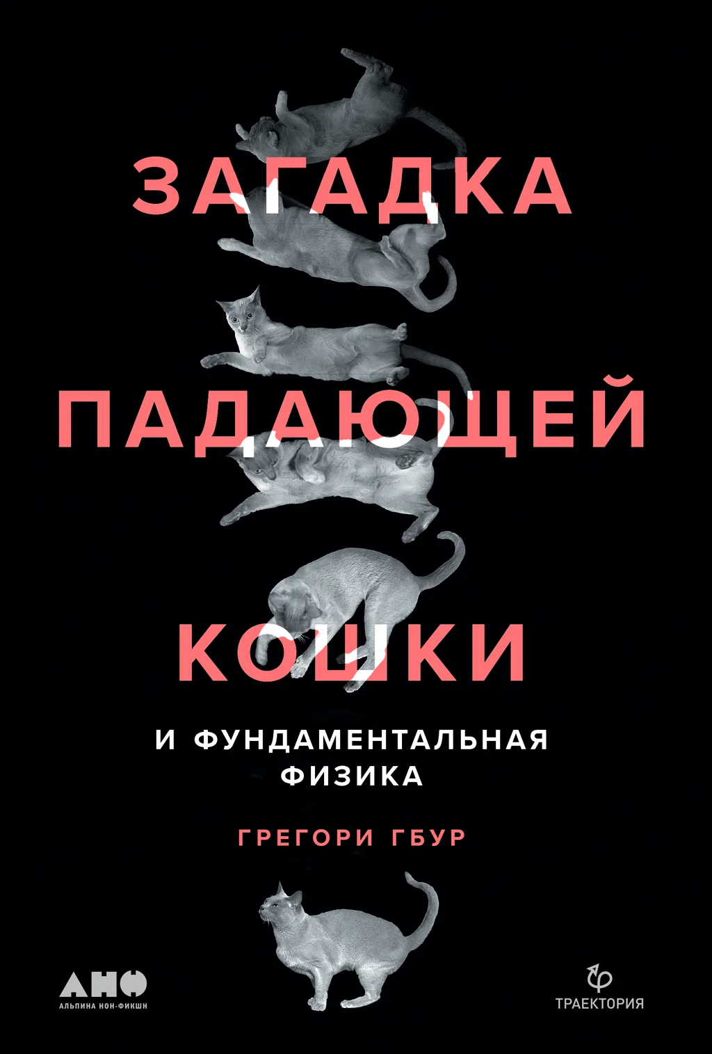 Обложка Загадка падающей кошки и фундаментальная физика