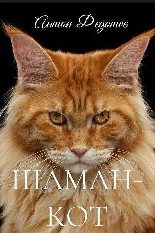 Обложка Шаман-Кот