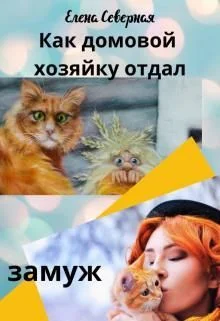 Обложка Как домовой хозяйку отдал замуж