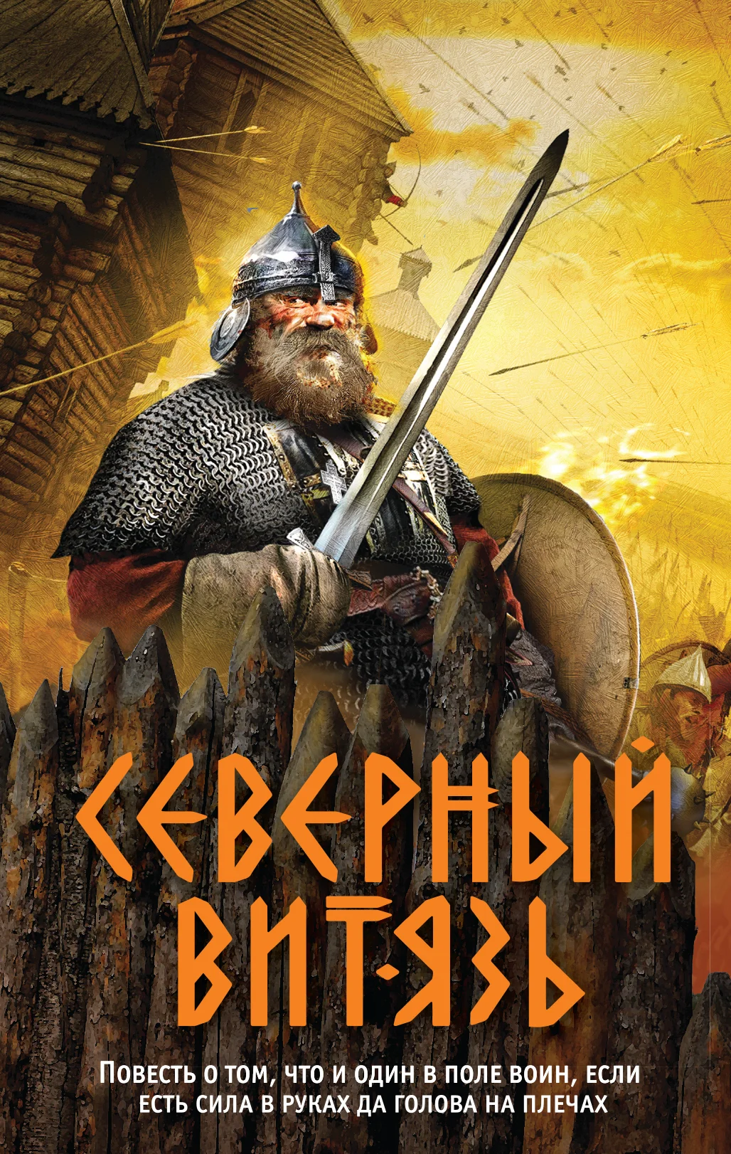 Обложка Северный витязь