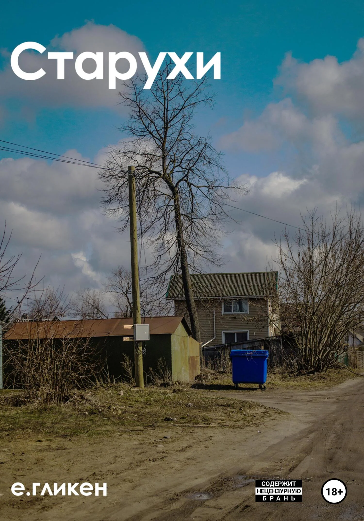 Обложка Старухи