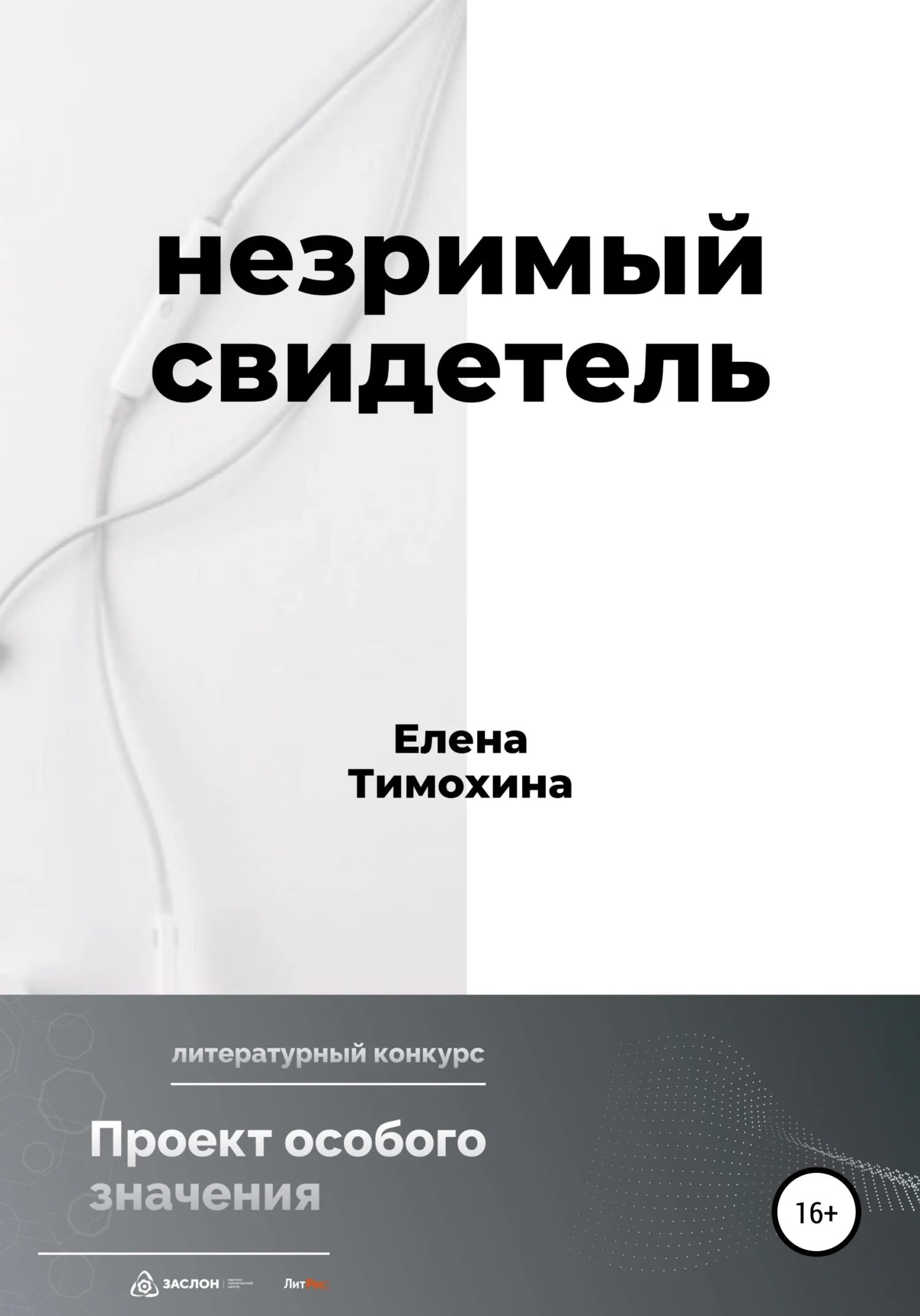 Обложка Незримый свидетель