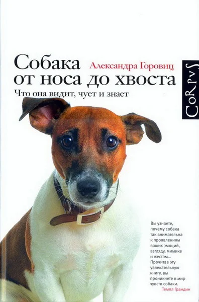 Обложка Собака от носа до хвоста. Что она видит, чует и знает