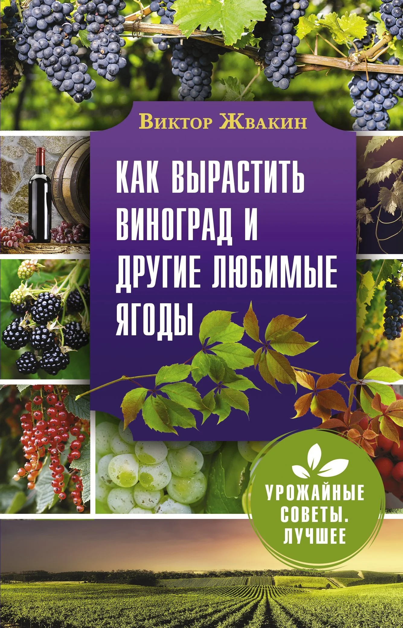 Обложка Как вырастить виноград и другие любимые ягоды