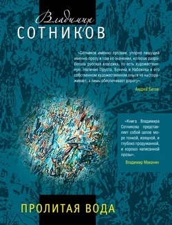 Обложка Пролитая вода
