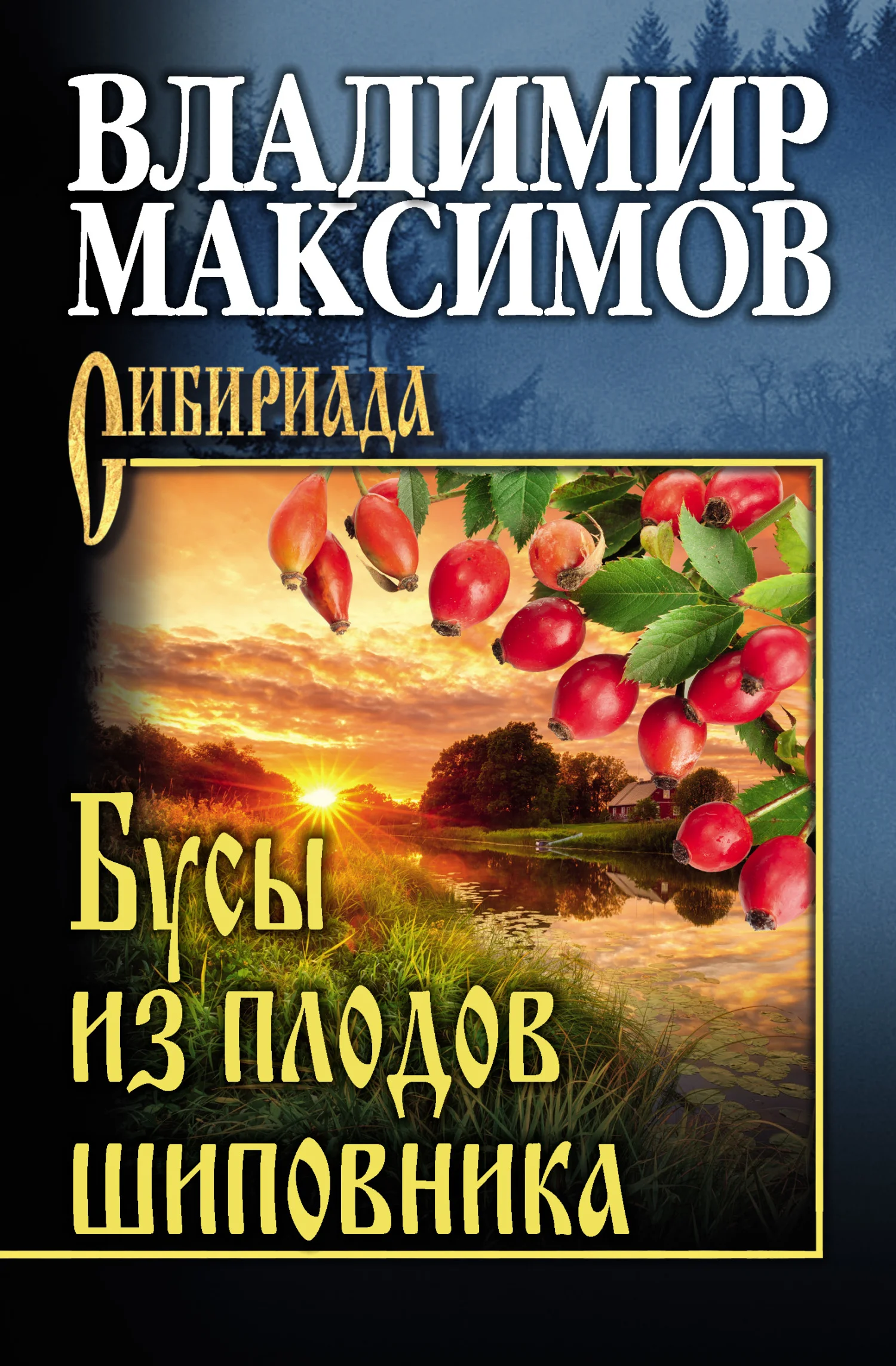 Обложка Бусы из плодов шиповника