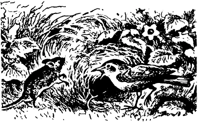 Обложка Два слабых и один сильный