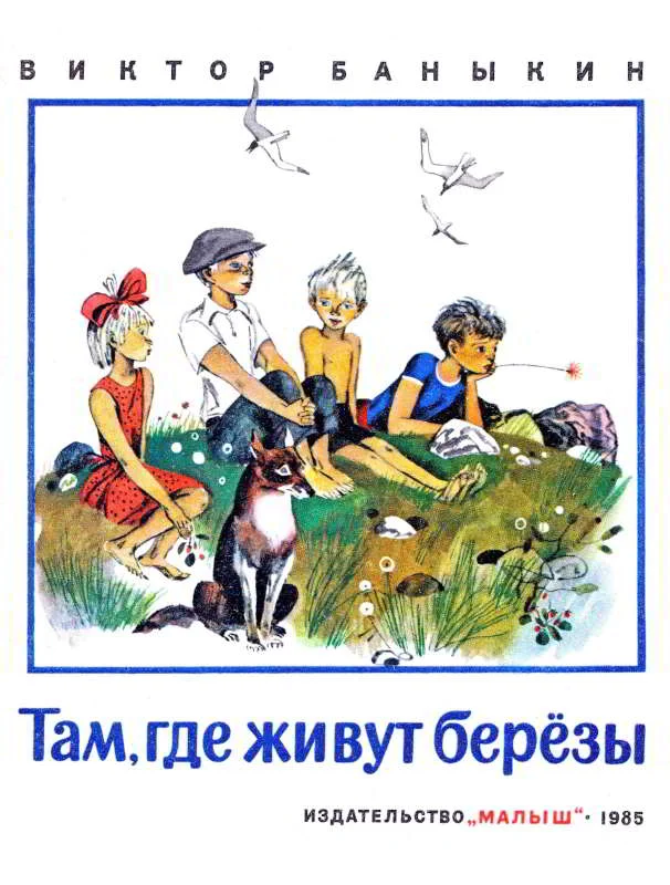 Обложка Там, где живут березы