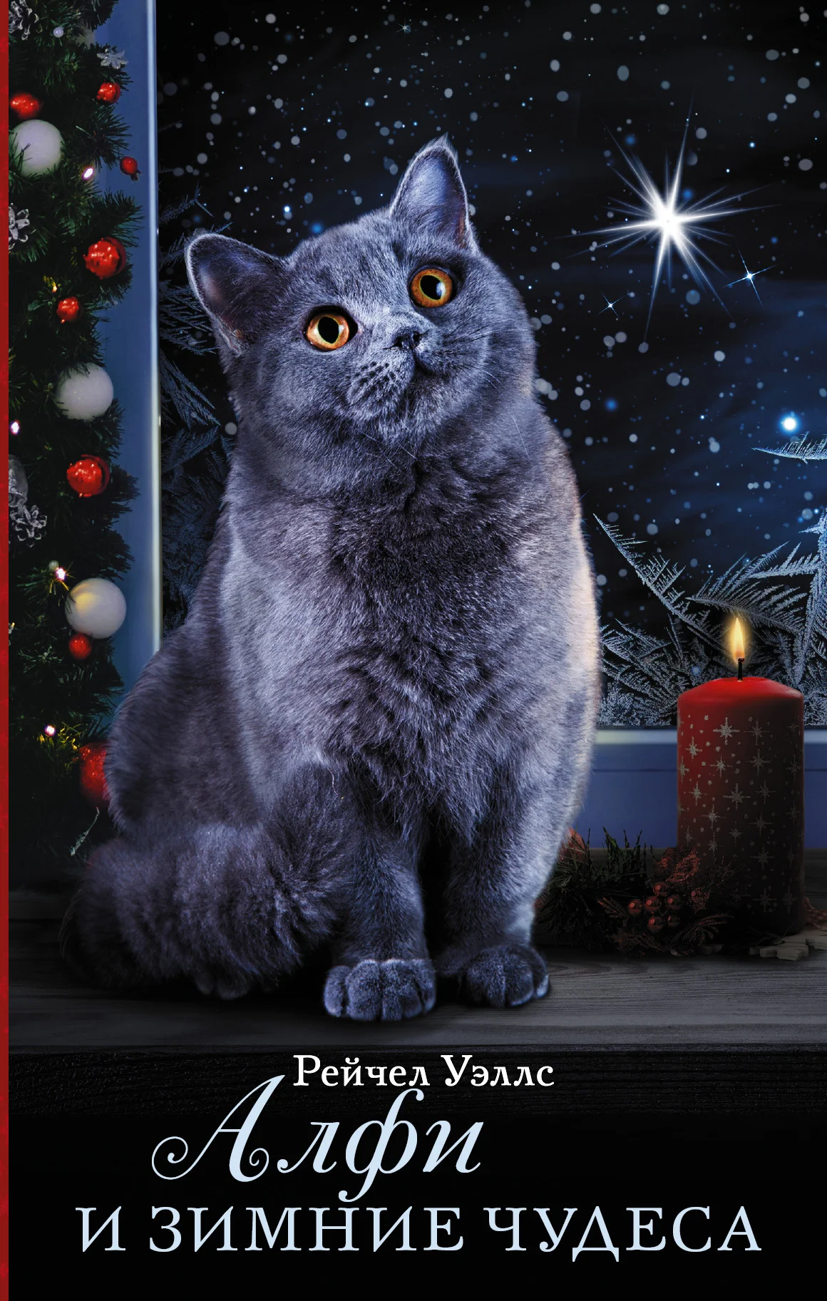 Обложка Алфи и зимние чудеса