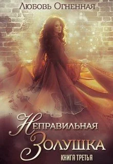 Обложка Неправильная Золушка