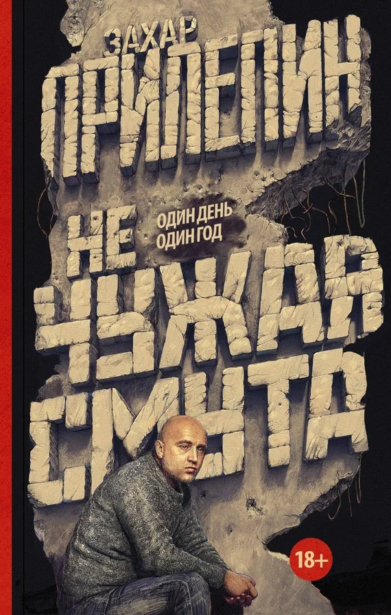 Обложка Не чужая смута. Один день – один год