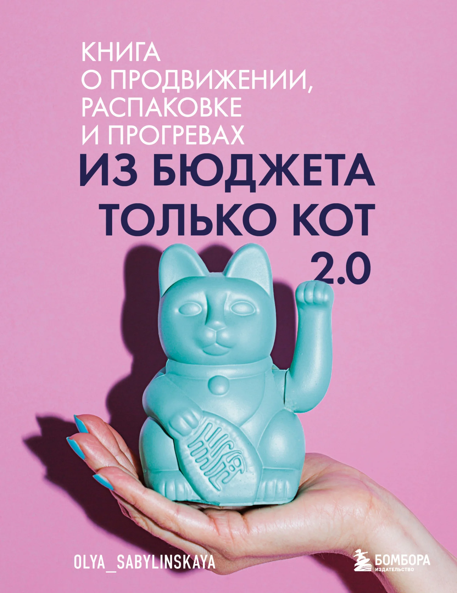 Обложка Из бюджета только кот 2.0