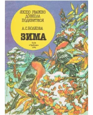 Обложка Зима