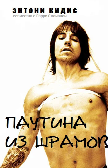 Обложка Паутина из шрамов