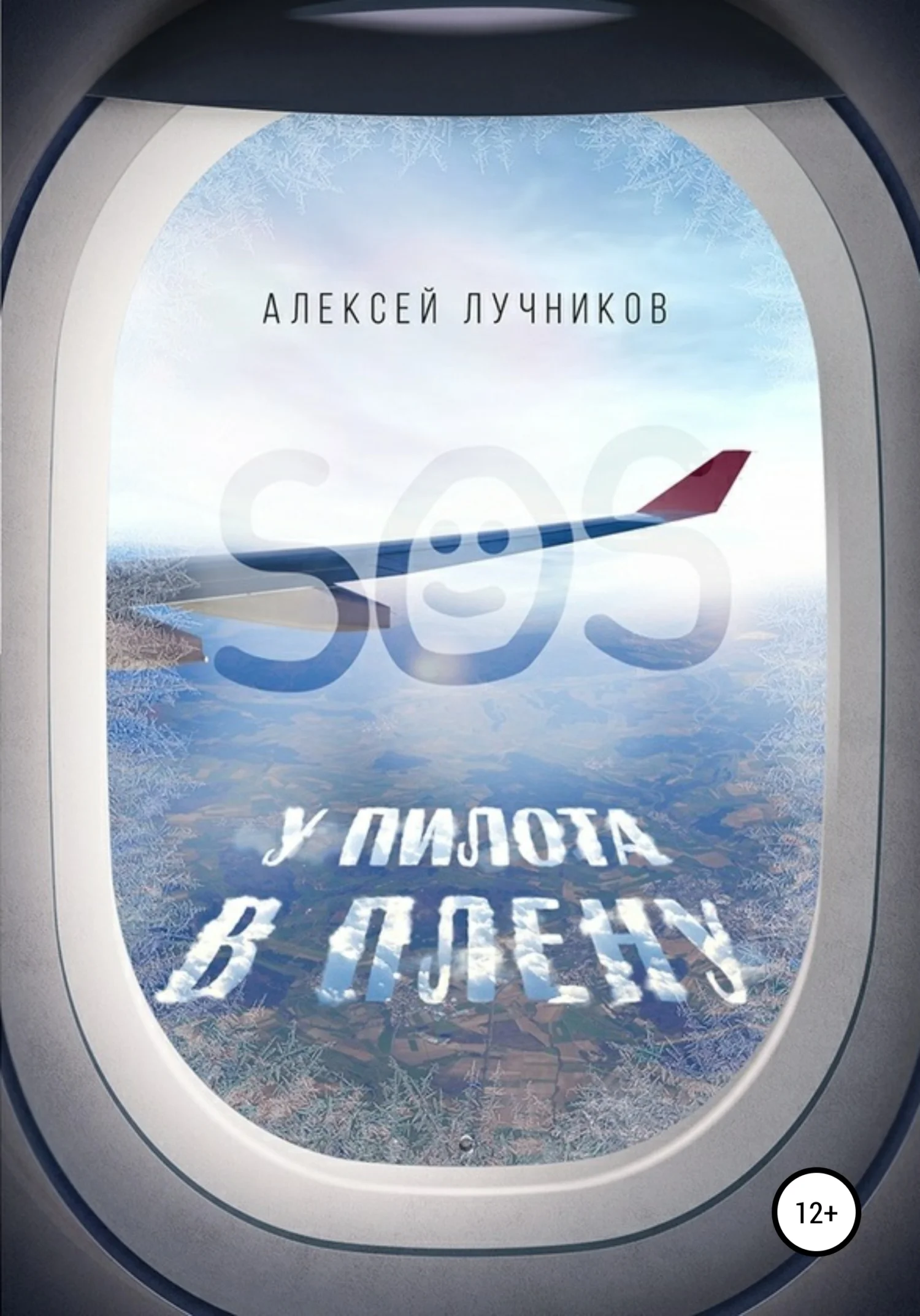 Обложка У пилота в плену