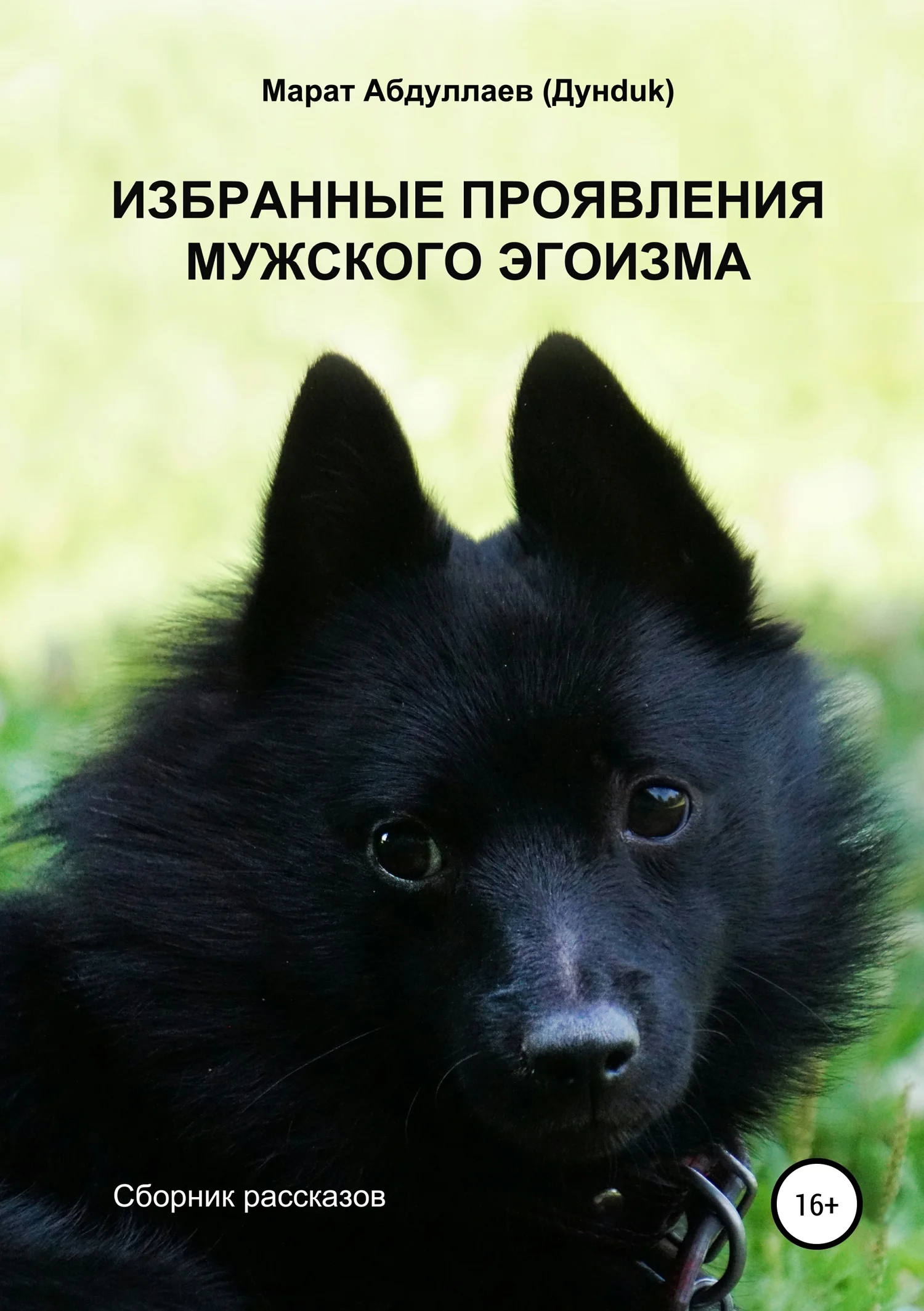 Обложка Избранные проявления мужского эгоизма. Сборник рассказов