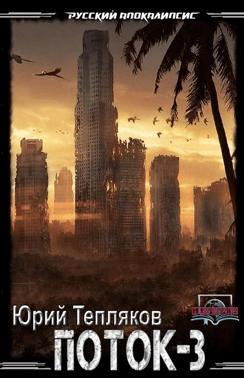 Обложка Поток-3