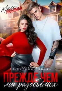 Обложка Прежде чем мы разобьёмся