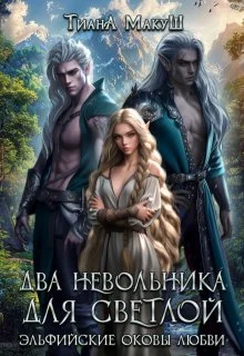 Обложка Два невольника для светлой