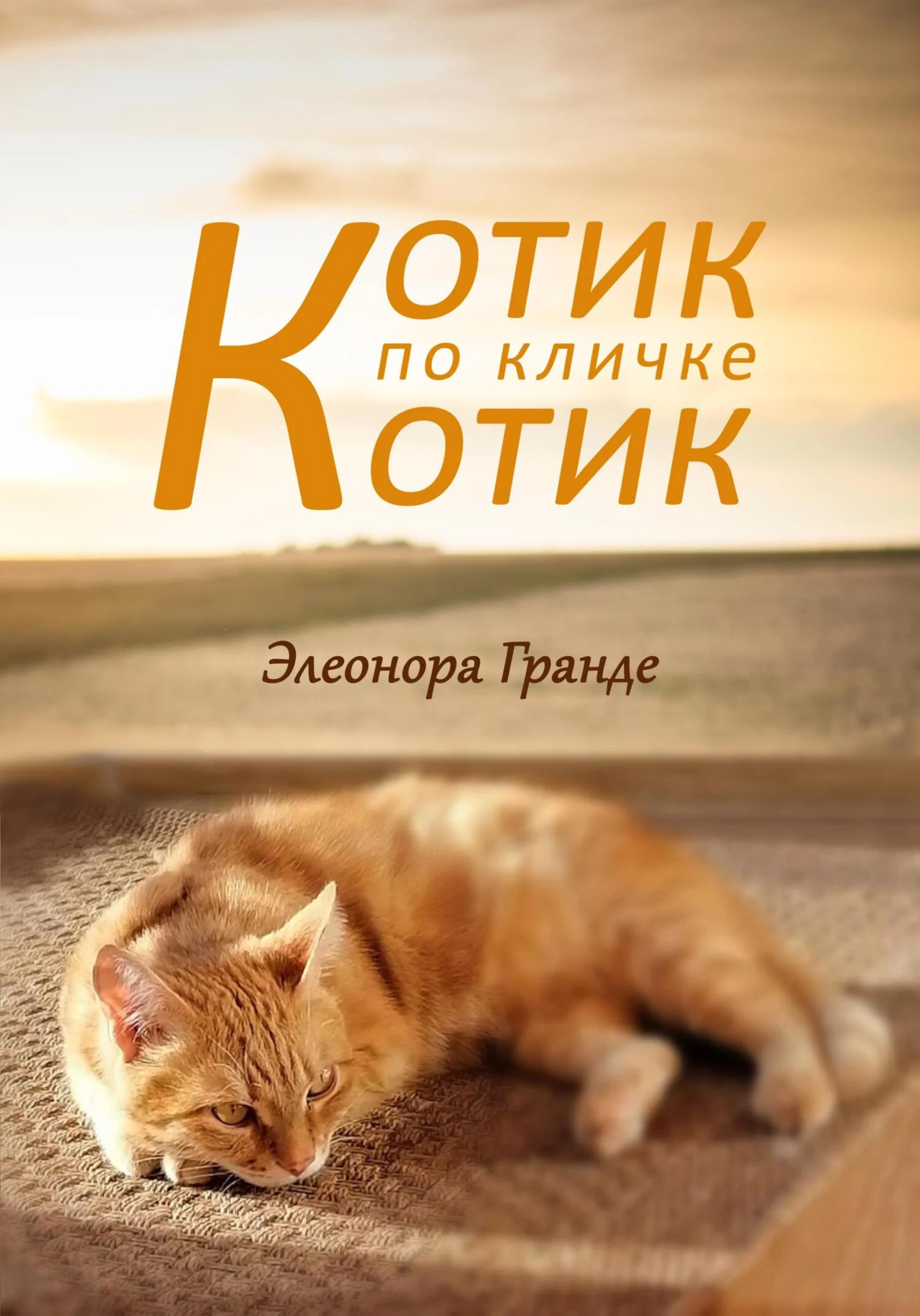 Обложка Котик по кличке Котик
