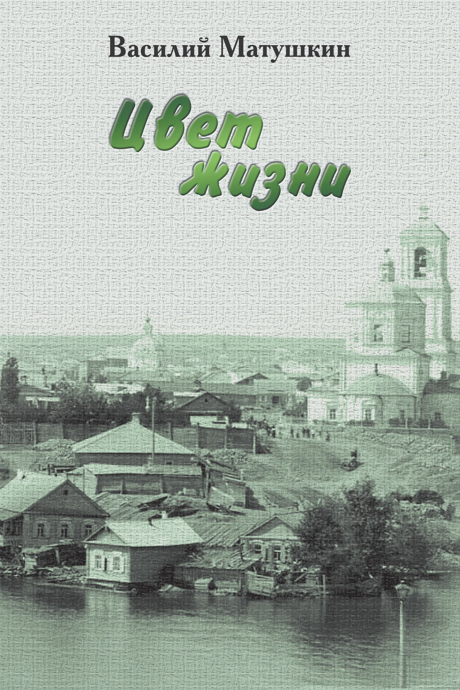 Обложка Цвет жизни