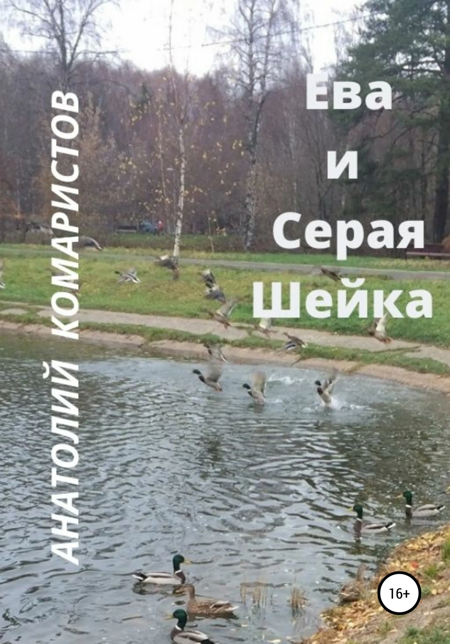 Обложка Ева и Серая Шейка