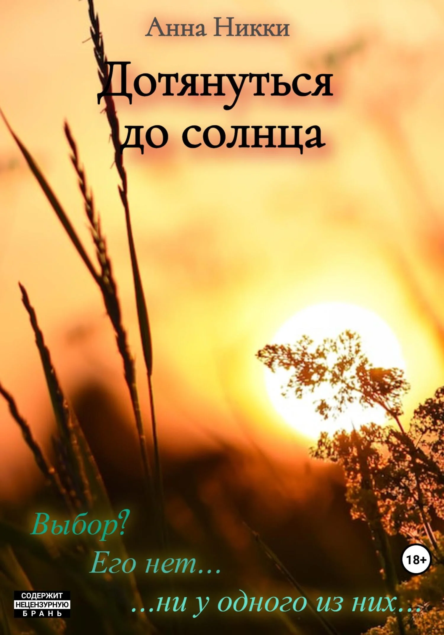 Обложка Дотянуться до солнца