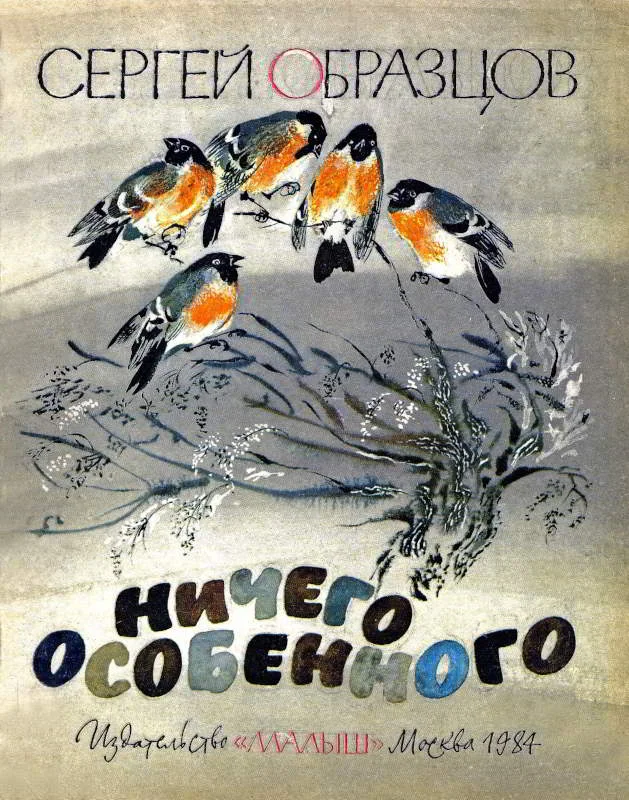 Обложка Ничего особенного